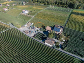 Urbonum Appiano Sulla Strada Del Vino